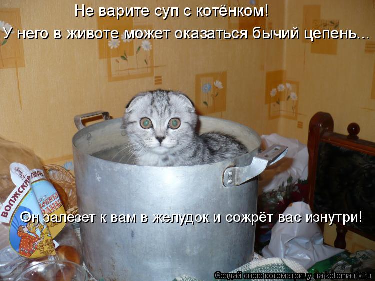 Не варите суп с котёнком! У него в животе может оказаться бычий цепень... Он залезет к вам в желудок ... Котоматрица: Не варите суп с котёнком! У него в животе может оказаться бычий цепень... Он залезет к вам в желудок и сожрёт вас изнутри!