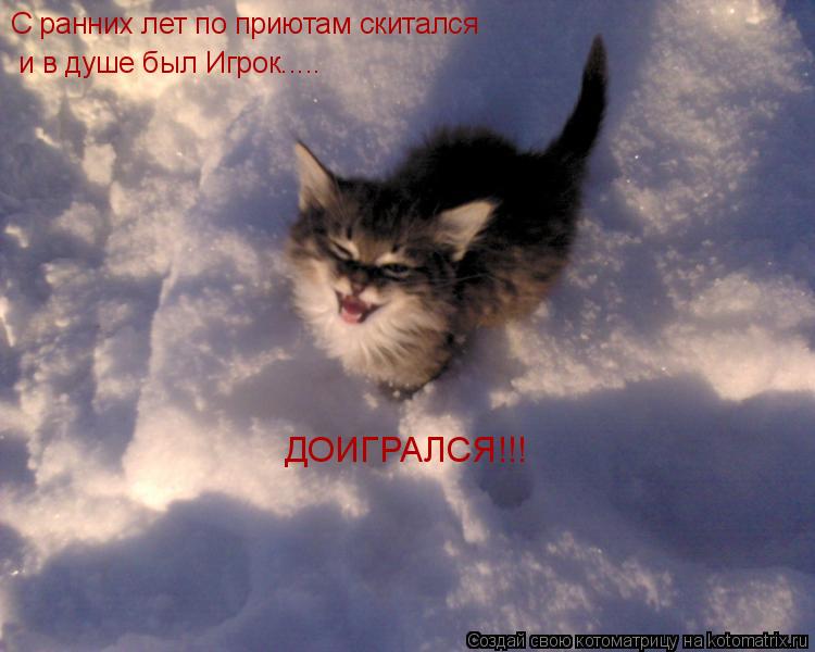 С ранних лет по приютам скитался и в душе был Игрок..... ДОИГРАЛСЯ!!!... Котоматрица: С ранних лет по приютам скитался и в душе был Игрок..... ДОИГРАЛСЯ!!!