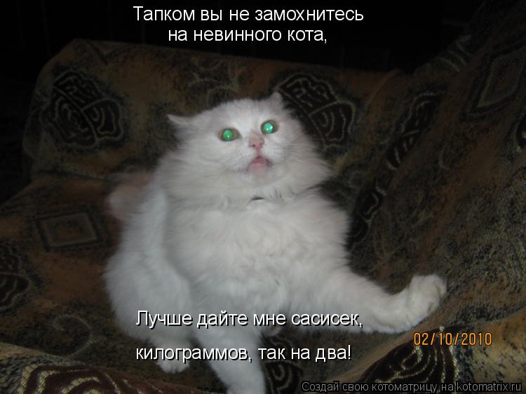 Тапком вы не замохнитесь на невинного кота, Лучше дайте мне сасисек, килограммов, так на два!... Котоматрица: Тапком вы не замохнитесь на невинного кота, Лучше дайте мне сасисек, килограммов, так на два!