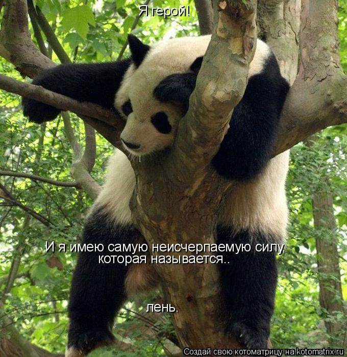Я герой! И я имею самую неисчерпаемую силу, которая называется.. лень.... Котоматрица: Я герой! И я имею самую неисчерпаемую силу, которая называется.. лень.