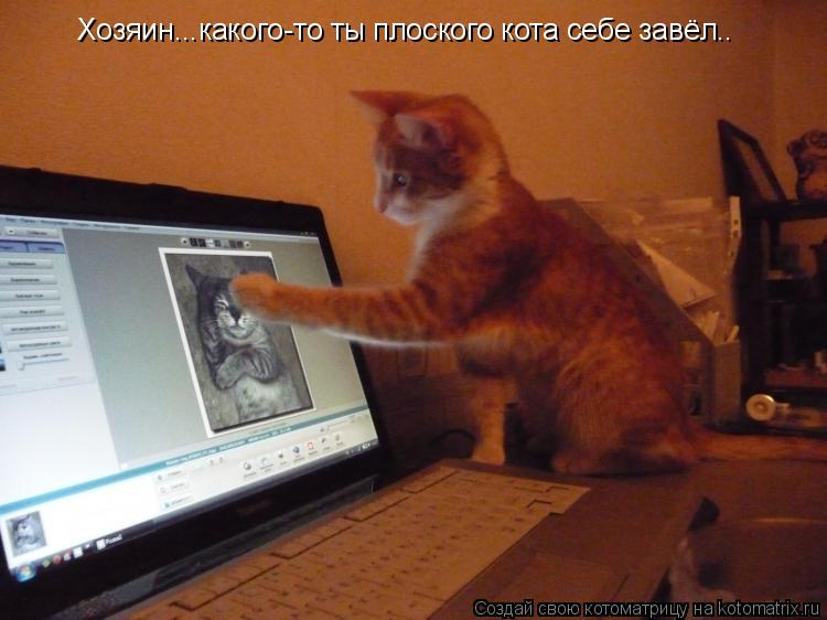 Хозяин...какого-то ты плоского кота себе завёл..... Котоматрица: Хозяин...какого-то ты плоского кота себе завёл..