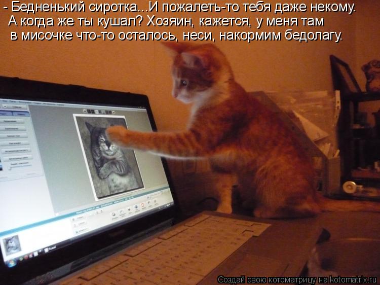 - Бедненький сиротка...И пожалеть-то тебя даже некому. А когда же ты кушал? Хозяин, кажется, у меня т... Котоматрица: - Бедненький сиротка...И пожалеть-то тебя даже некому. А когда же ты кушал? Хозяин, кажется, у меня там в мисочке что-то осталось, неси, накорм