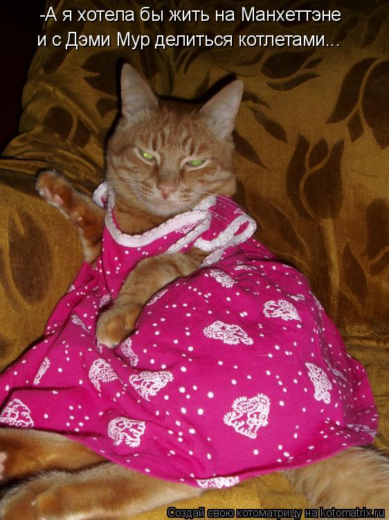 -А я хотела бы жить на Манхеттэне и с Дэми Мур делиться котлетами...... Котоматрица: -А я хотела бы жить на Манхеттэне и с Дэми Мур делиться котлетами...