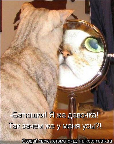 -Батюшки! Я же девочка! Так зачем же у меня усы?!... Котоматрица: -Батюшки! Я же девочка! Так зачем же у меня усы?!