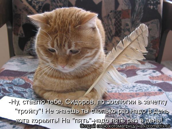 -Ну, ставлю тебе, Сидоров, по зоологии в зачетку "тройку"! Не знаешь ты сколько раз надо в день кота... Котоматрица: -Ну, ставлю тебе, Сидоров, по зоологии в зачетку "тройку"! Не знаешь ты сколько раз надо в день кота кормить! На "пять"-надо пять раз в день!
