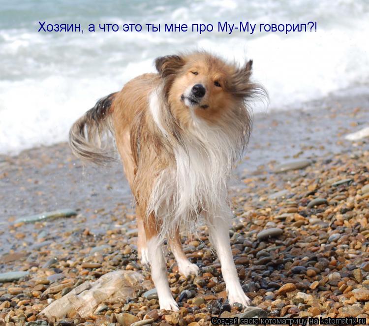 Хозяин, а что это ты мне про Му-Му говорил?!... Котоматрица: Хозяин, а что это ты мне про Му-Му говорил?!