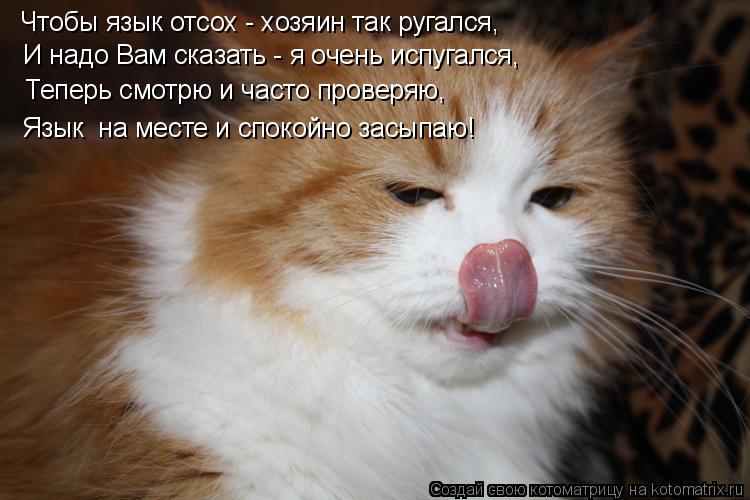 Котоматрица: Чтобы язык отсох - хозяин так ругался, И надо Вам сказать - я очень испугался, Теперь смотрю и часто проверяю, Язык  на месте и спокойно засыпа