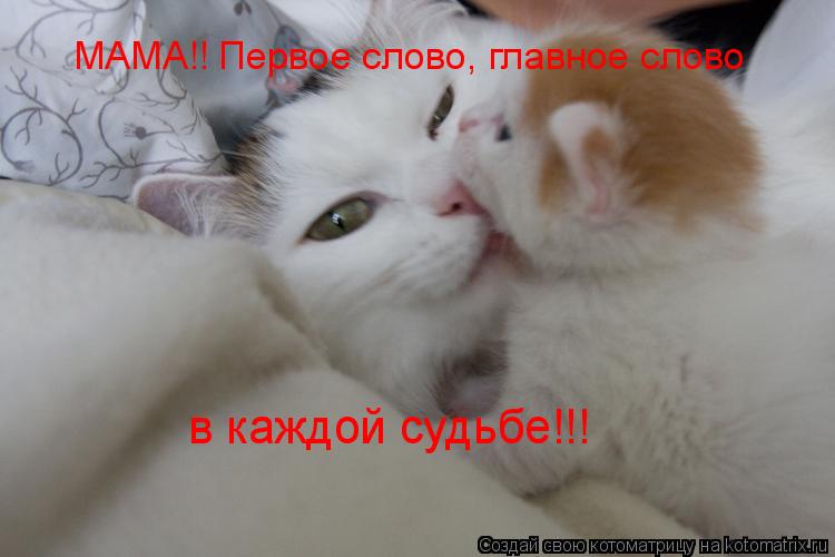 Скачать смешную песню про маму