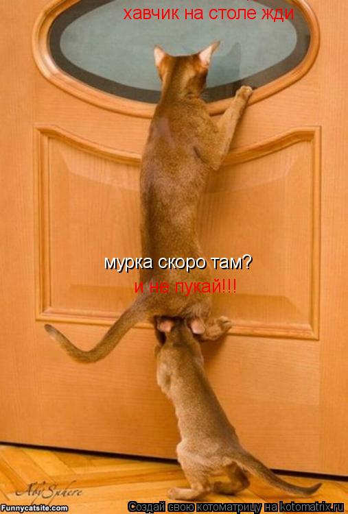 Котоматрица: мурка скоро там?  и не пукай!!! хавчик на столе жди хавчик на столе жди