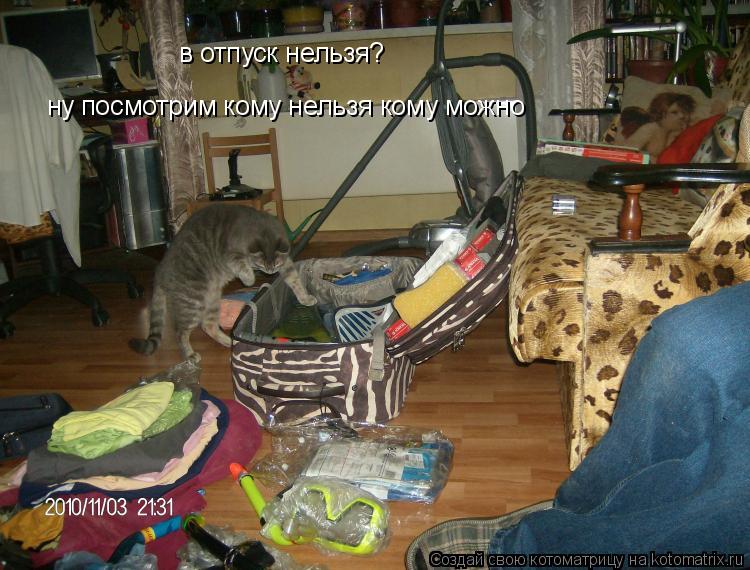 Котоматрица: в отпуск нельзя?  ну посмотрим кому нельзя кому можно