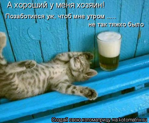 Котоматрица: А хороший у меня хозяин! Позаботился уж, чтоб мне утром ..... не так тяжко было