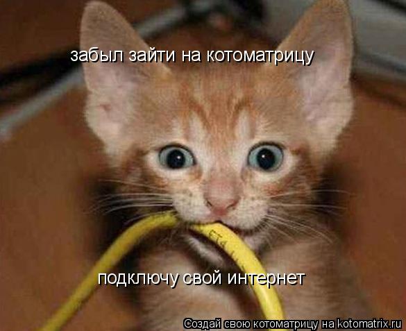 Котоматрица: забыл зайти на котоматрицу подключу свой интернет