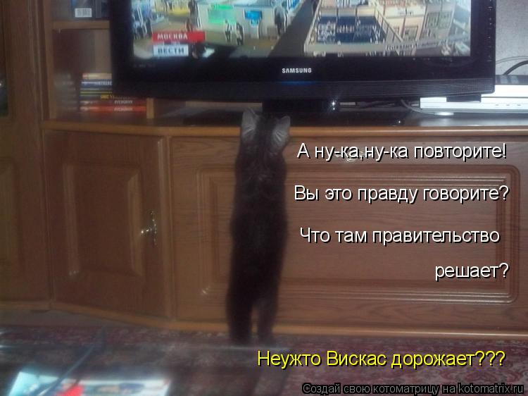 Котоматрица: А ну-ка,ну-ка повторите! Вы это правду говорите? Что там правительство решает? Неужто Вискас дорожает???