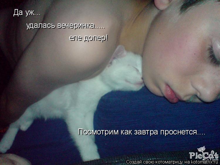 Котоматрица: Да уж... удалась вечеринка..... еле допер! Посмотрим как завтра проснется....