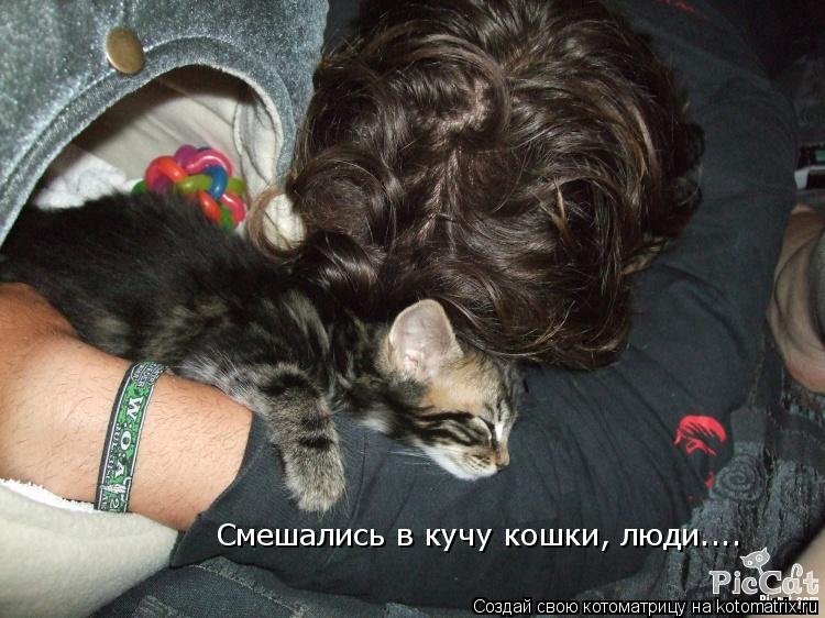 Котоматрица: Смешались в кучу кошки, люди....