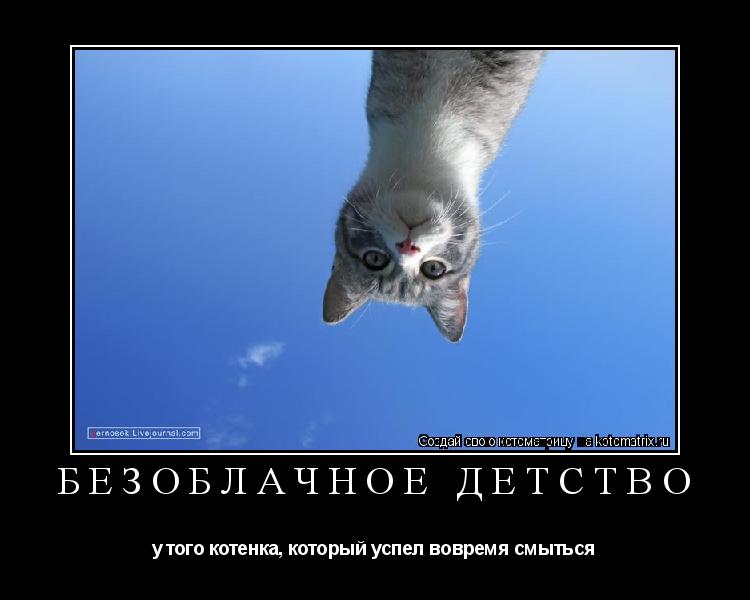 БЕЗОБЛАЧНОЕ ДЕТСТВО у того котенка, который успел вовремя смыться... Котоматрица: БЕЗОБЛАЧНОЕ ДЕТСТВО у того котенка, который успел вовремя смыться