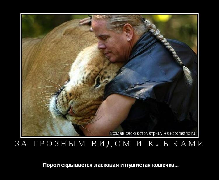 За грозным видом и клыками Порой скрывается ласковая и пушистая кошечка...... Котоматрица: За грозным видом и клыками Порой скрывается ласковая и пушистая кошечка...