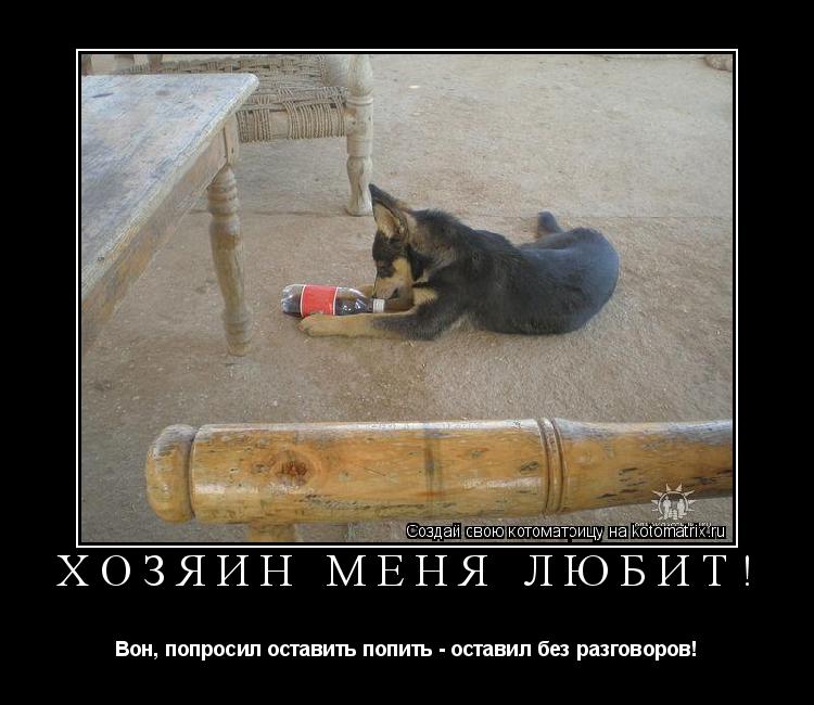 Хозяин меня любит! Вон, попросил оставить попить - оставил без разговоров!... Котоматрица: Хозяин меня любит! Вон, попросил оставить попить - оставил без разговоров!