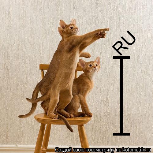 Котоматрица: RU T I I T