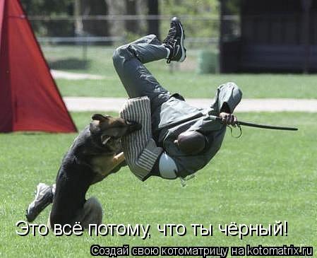 Это всё потому, что ты чёрный!... Котоматрица: Это всё потому, что ты чёрный!
