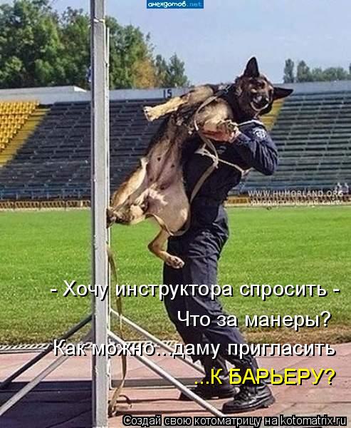 Котоматрица: - Хочу инструктора спросить - Что за манеры? Как можно...даму пригласить ...К БАРЬЕРУ?
