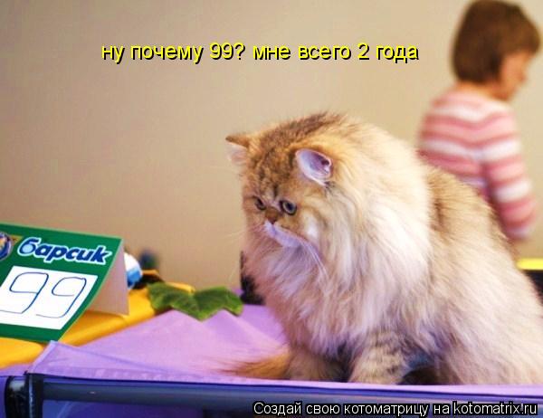 ну почему 99? мне всего 2 года... Котоматрица: ну почему 99? мне всего 2 года
