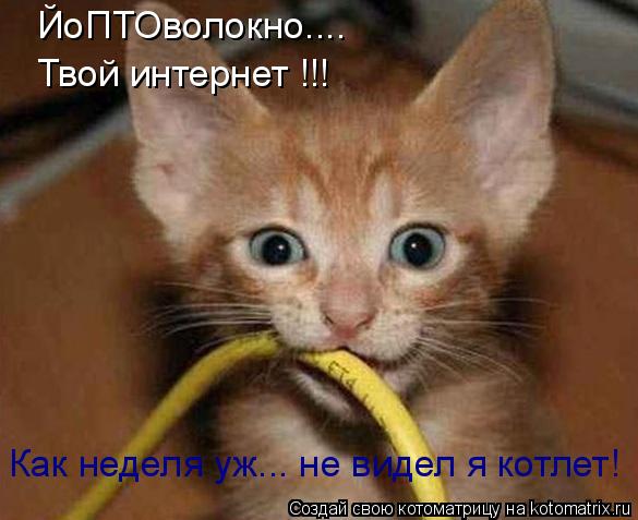 ЙоПТОволокно.... Твой интернет !!! Как неделя уж... не видел я котлет!... Котоматрица: ЙоПТОволокно.... Твой интернет !!! Как неделя уж... не видел я котлет!