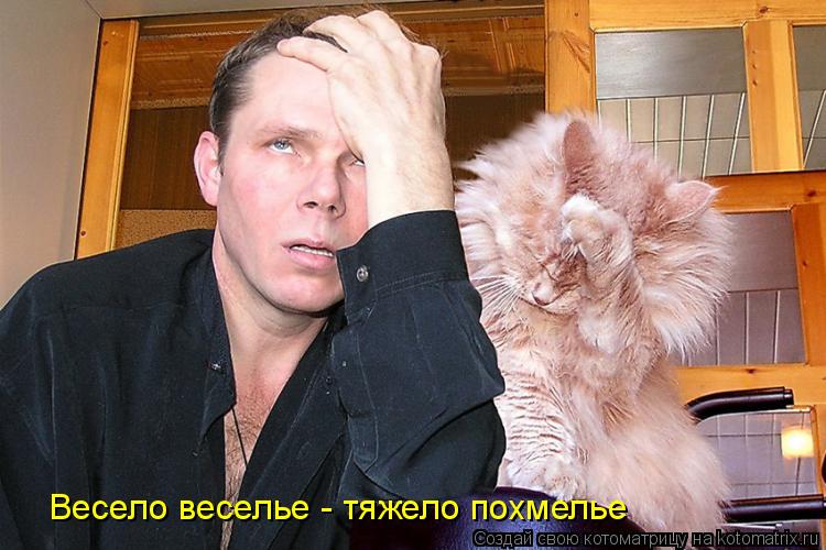 Весело веселье - тяжело похмелье... Котоматрица: Весело веселье - тяжело похмелье