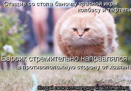 Котоматрица: Стащив со стола баночку красной икры  колбасу и тефтели  Барсик стремительно направлялся в противоположную сторону от хозяина.