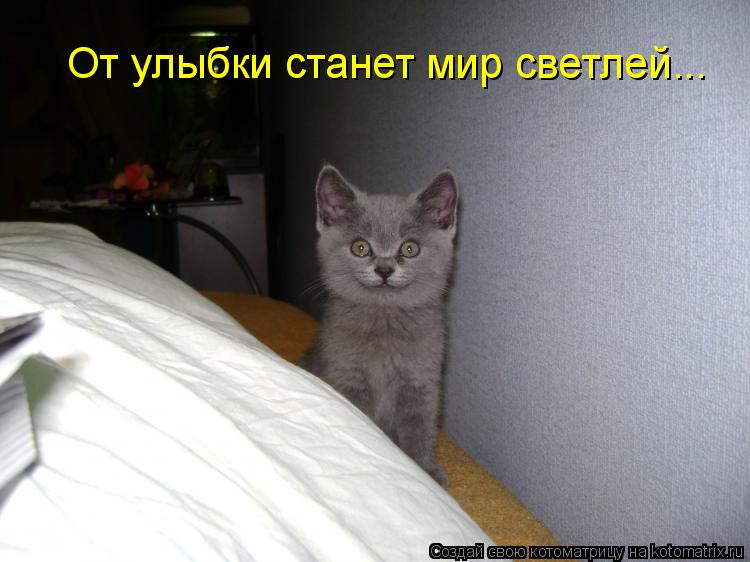 От улыбки станет мир светлей...... Котоматрица: От улыбки станет мир светлей...