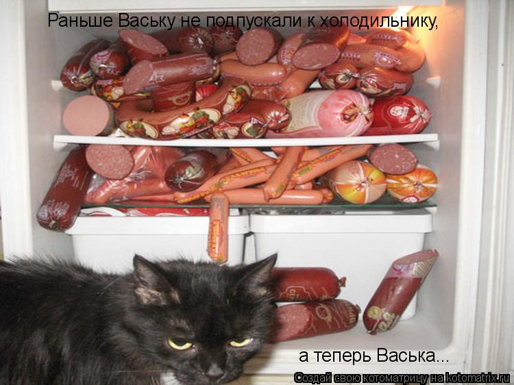 Раньше Ваську не подпускали к холодильнику, а теперь Васька...... Котоматрица: Раньше Ваську не подпускали к холодильнику, а теперь Васька...