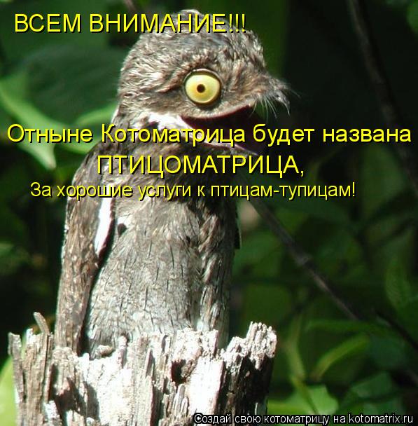 Отныне Котоматрица будет названа ПТИЦОМАТРИЦА, За хорошие услуги к птицам-тупицам! ВСЕМ ВНИМАНИЕ!!!... Котоматрица: Отныне Котоматрица будет названа ПТИЦОМАТРИЦА, За хорошие услуги к птицам-тупицам! ВСЕМ ВНИМАНИЕ!!!