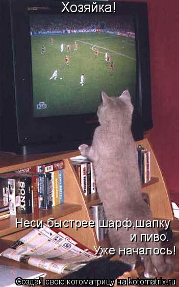 Хозяйка! Неси быстрее шарф,шапку и пиво. Уже началось!... Котоматрица: Хозяйка! Неси быстрее шарф,шапку и пиво. Уже началось!