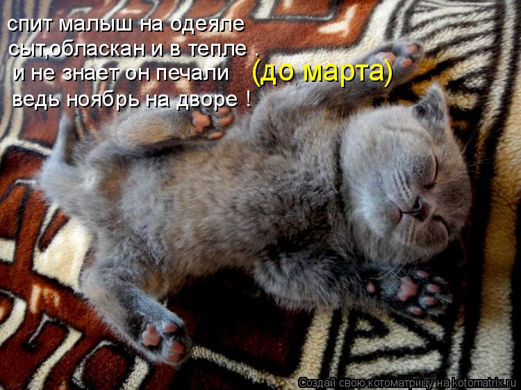 спит малыш на одеяле сыт,обласкан и в тепле . и не знает он печали (до марта) ведь ноябрь на дворе !... Котоматрица: спит малыш на одеяле сыт,обласкан и в тепле . и не знает он печали (до марта) ведь ноябрь на дворе !