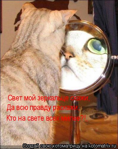 Котоматрица: Свет мой зеркальце скажи, Да всю правду раскажи, Кто на свете всех милее?!,