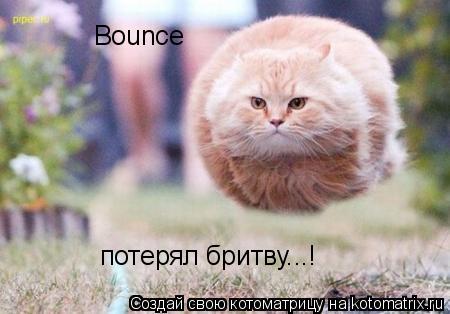 Bounce потерял бритву...!... Котоматрица: Bounce потерял бритву...!