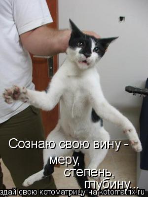 Сознаю свою вину - меру, степень, глубину...... Котоматрица: Сознаю свою вину - меру, степень, глубину...