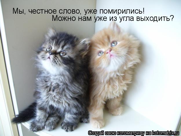 Мы, честное слово, уже помирились! Можно нам уже из угла выходить?... Котоматрица: Мы, честное слово, уже помирились! Можно нам уже из угла выходить?