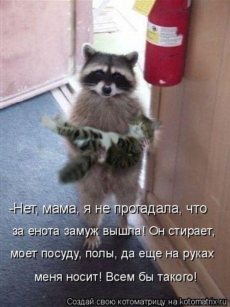 -Нет, мама, я не прогадала, что за енота замуж вышла! Он стирает, моет посуду, полы, да еще на руках ... Котоматрица: -Нет, мама, я не прогадала, что за енота замуж вышла! Он стирает, моет посуду, полы, да еще на руках меня носит! Всем бы такого!