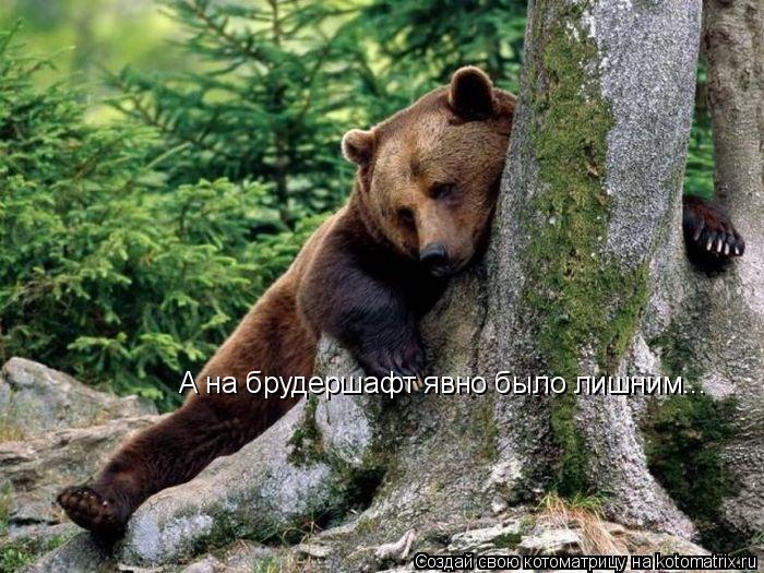 А на брудершафт явно было лишним...... Котоматрица: А на брудершафт явно было лишним...