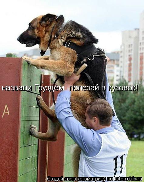 назвали Груздём -полезай в кузовок!... Котоматрица: назвали Груздём -полезай в кузовок!