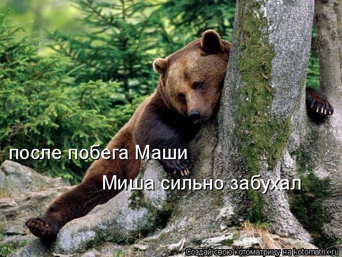 после побега Маши Миша сильно забухал... Котоматрица: после побега Маши Миша сильно забухал