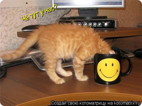Чё тут у нас?... Котоматрица: Чё тут у нас?