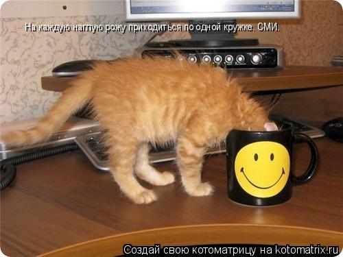 На каждую наглую рожу приходиться по одной кружке. СМИ.... Котоматрица: На каждую наглую рожу приходиться по одной кружке. СМИ.