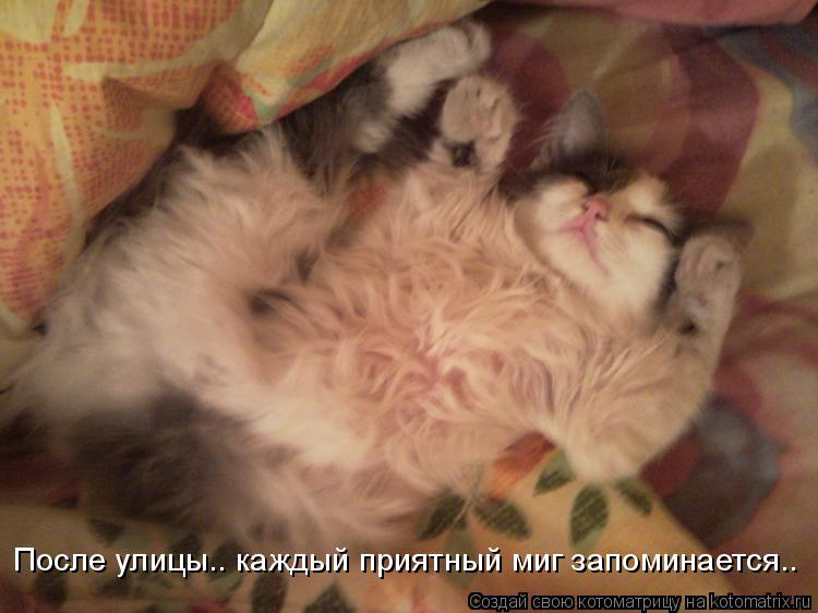 После улицы.. каждый приятный миг запоминается..... Котоматрица: После улицы.. каждый приятный миг запоминается..