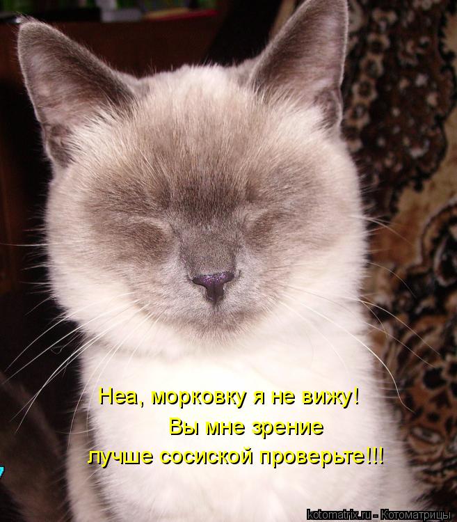 Котоматрица: Неа, морковку я не вижу! Вы мне зрение  лучше сосиской проверьте!!!