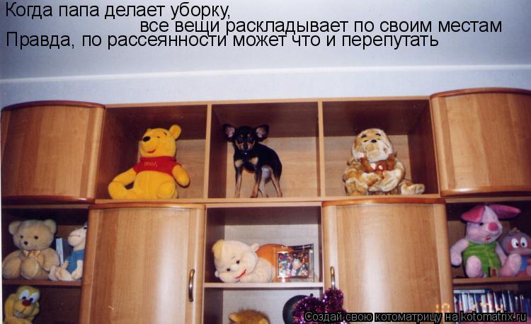 Когда папа делает уборку, все вещи раскладывает по своим местам Правда, по рассеянности может что и ... Котоматрица: Когда папа делает уборку, все вещи раскладывает по своим местам Правда, по рассеянности может что и перепутать