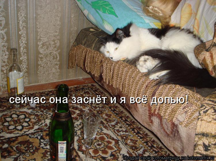 сейчас она заснёт и я всё допью!... Котоматрица: сейчас она заснёт и я всё допью!