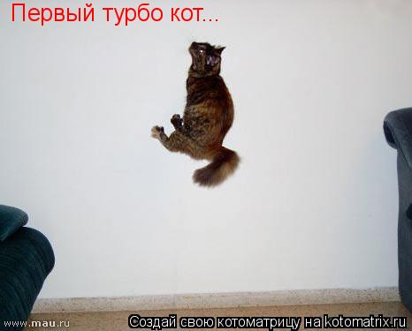 Первый турбо кот...... Котоматрица: Первый турбо кот...