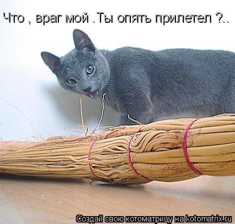 Что , враг мой .Ты опять прилетел ?..... Котоматрица: Что , враг мой .Ты опять прилетел ?..